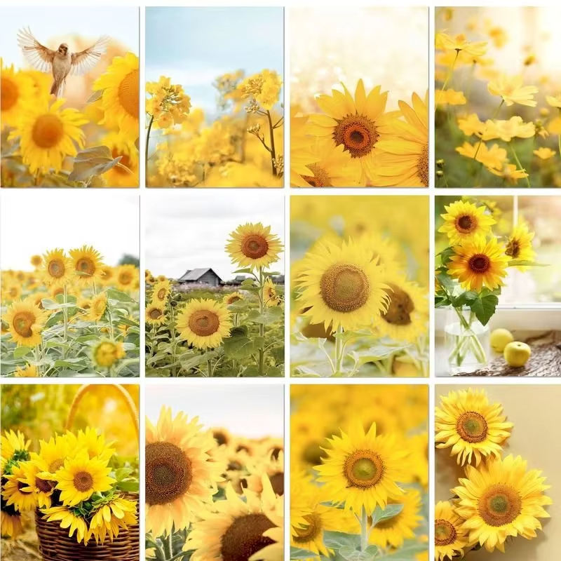 Art Craft Game - Without Frame Modern Painting By Numbers