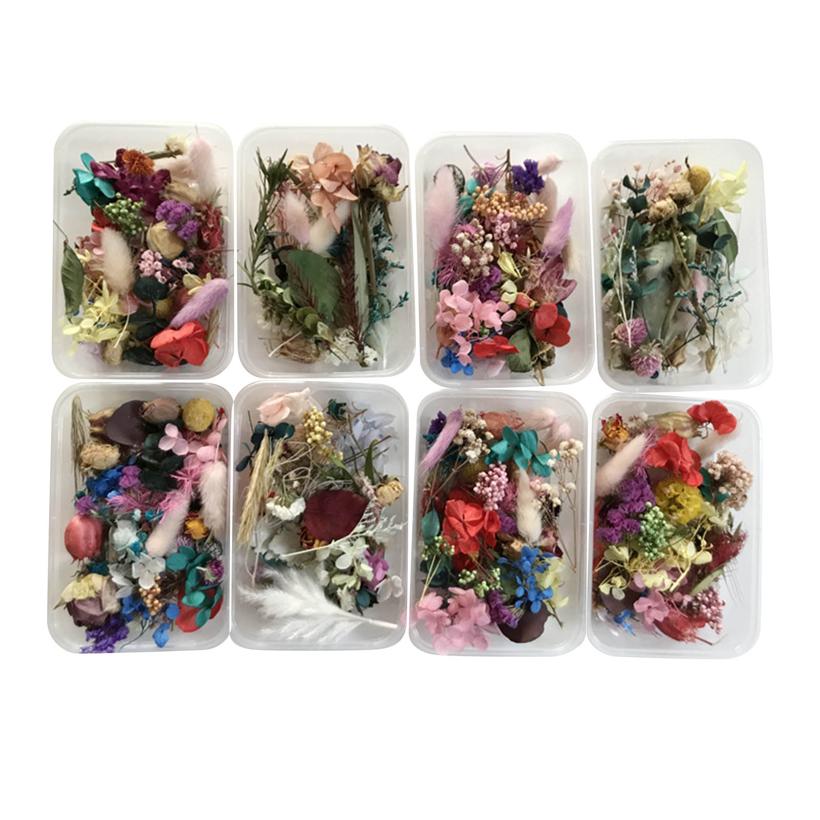Natural Dried Flower Kit Press - Artwork Craft review and price