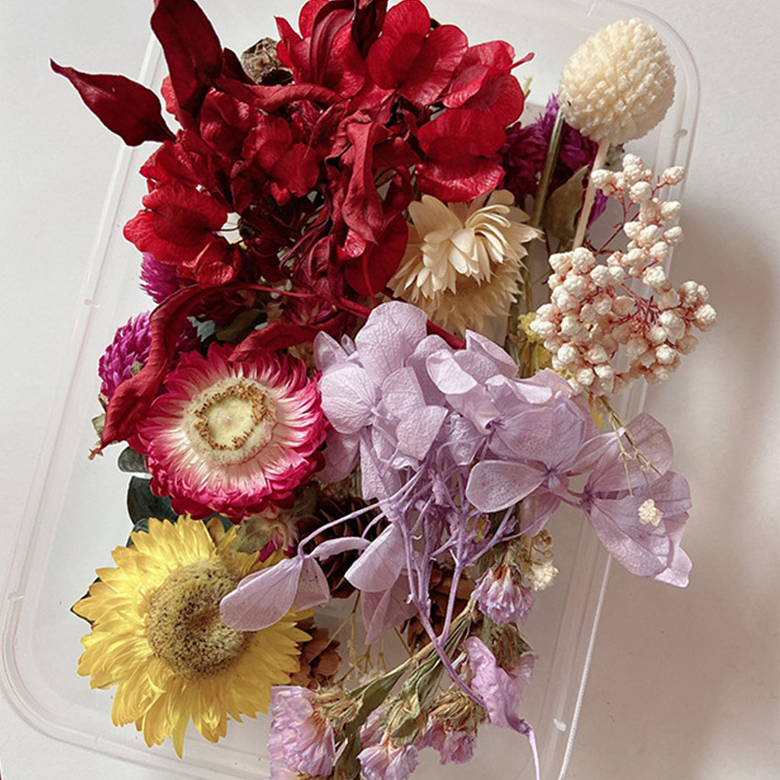 Natural Dried Flower Kit Press - Artwork Craft review and price