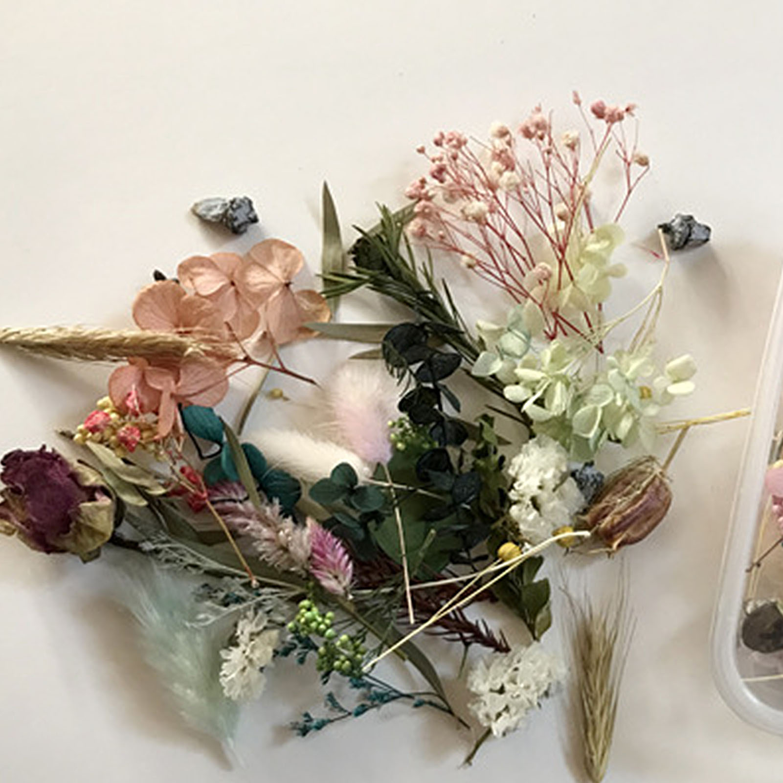 Natural Dried Flower Kit Press - Artwork Craft review and price