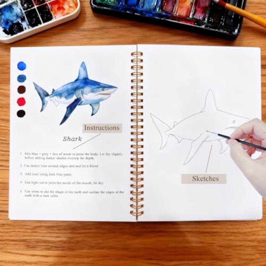 Watercolor Workbooks Coloring  - Art Craft Book review and price